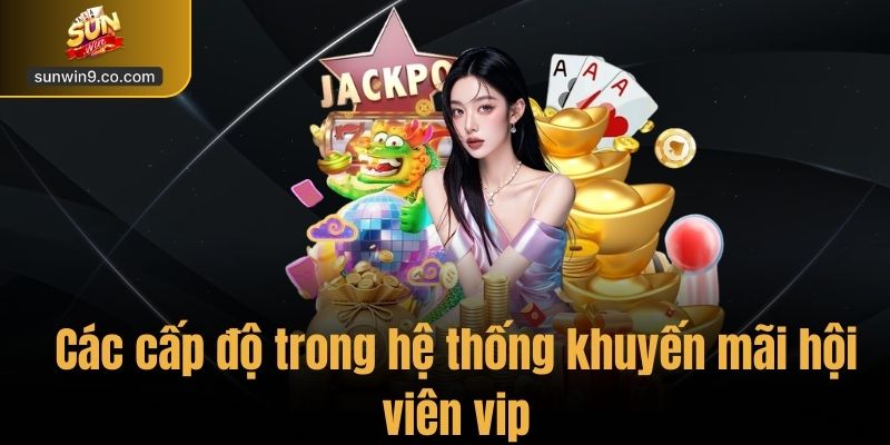 Các Cấp Độ Trong Hệ Thống Khuyến Mãi Hội Viên Vip