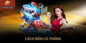 Cách Bắn Cá Thắng Được Chia Sẻ Theo Hướng Quan Sát, Quản Lý Vốn Và Tư Duy Chơi Tỉnh Táo. Phù Hợp Cho Người Mới Làm Quen Bắn Cá.