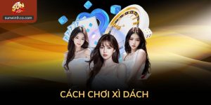 Cách Chơi Xì Dách Không Áp Lực Cho Người Mới