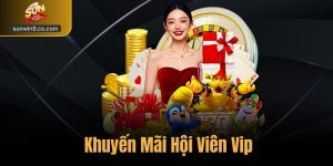 Khuyến Mãi Hội Viên Vip – Đặc Quyền Dành Riêng Tại Sunwin