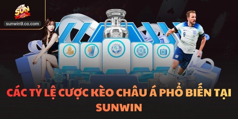 Các Tỷ Lệ Cược Kèo Châu Á Phổ Biến Tại Sunwin