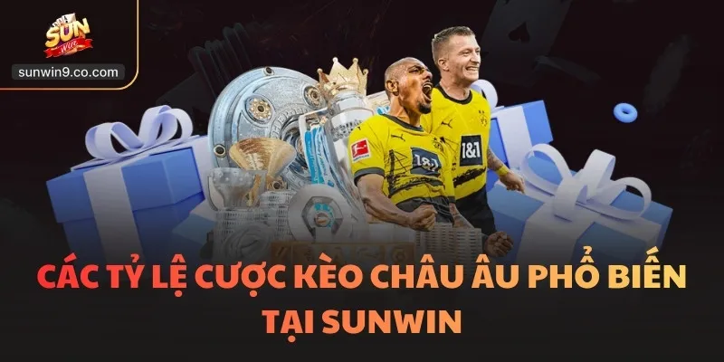 Các Tỷ Lệ Cược Kèo Châu Âu Phổ Biến Tại Sunwin