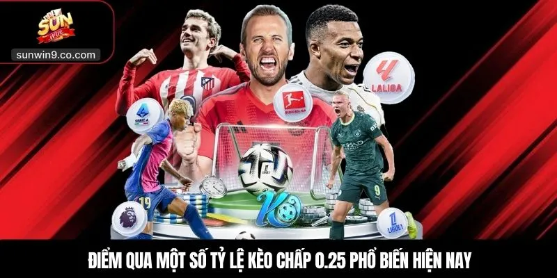 Điểm Qua Một Số Tỷ Lệ Kèo Chấp 0.25 Phổ Biến Hiện Nay