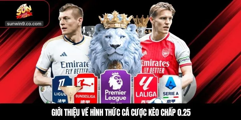 Giới Thiệu Về Hình Thức Cá Cược Kèo Chấp 0.25